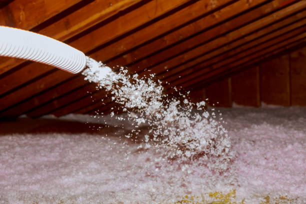 Best Residential Insulation in Pardeeville, WI